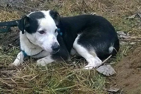 Wciśnięty w kącik, nigdy nie został zauważony,  do