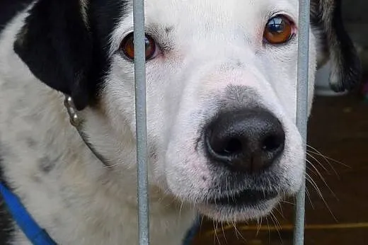 Wciśnięty w kącik, nigdy nie został zauważony,  do