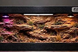 Okazja terrarium dla agamy brodatej gekona lamparciego