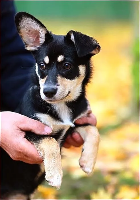 Maluśka, czteromiesięczna dziecina - Petka :)
