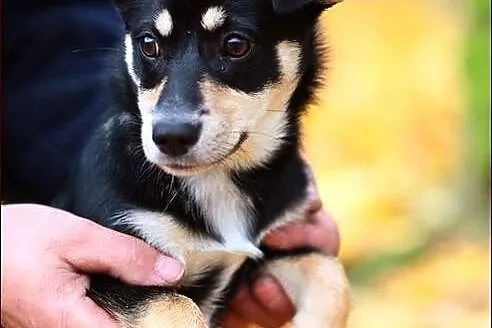 Maluśka, czteromiesięczna dziecina - Petka :)