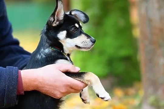 Maluśka, czteromiesięczna dziecina - Petka :)