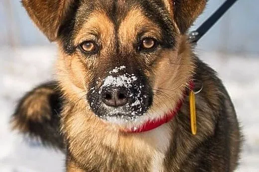 Naprawdę wspaniała Niunia :),  warmińsko-mazurskie