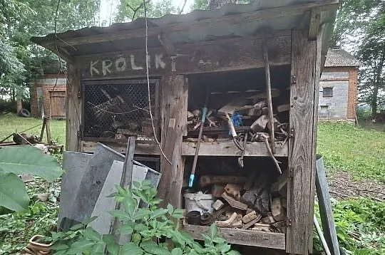 Klatka  dla  królików