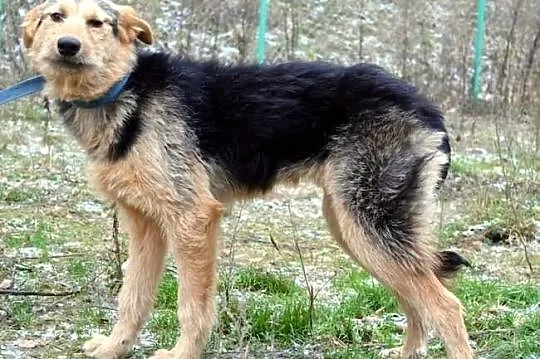 Szorstka Nadia :) Cudna :)