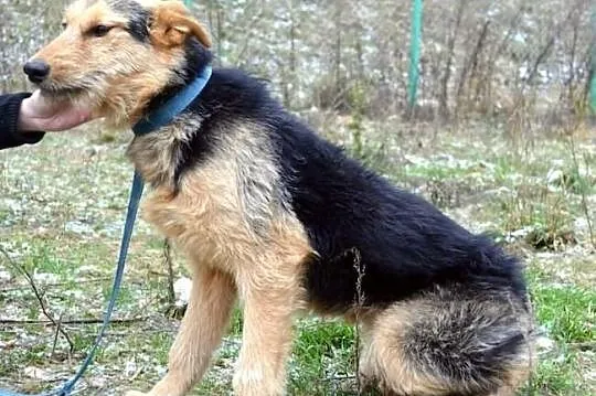 Szorstka Nadia :) Cudna :)