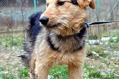 Szorstka Nadia :) Cudna :)