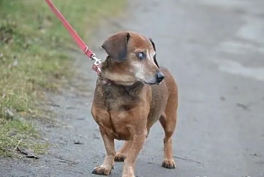 Kto pokocha takiego biedaka jak jak ?