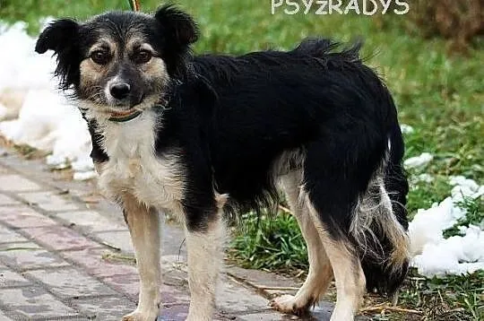ZOJKA - mała laleczka