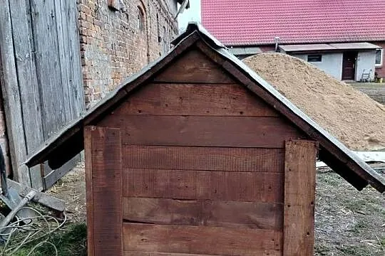 Buda dla psa, Wielkopolskie, Jastrowie