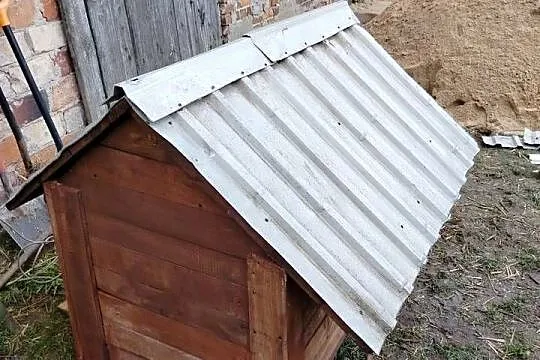 Buda dla psa, Wielkopolskie, Jastrowie