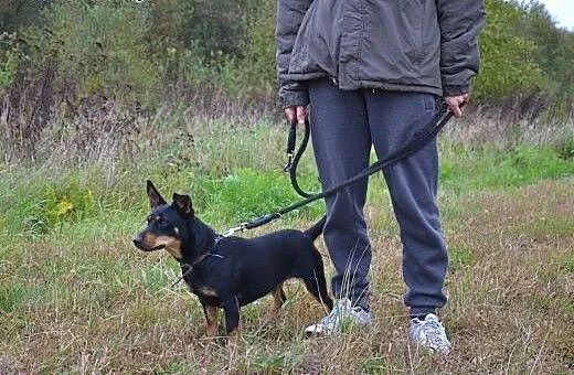 Piękna, czarna, nieduża, młoda Żabcia poleca się d