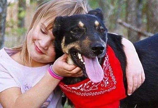 Cyganek już dwa lata czeka na dom! Adoptuj! łagodn