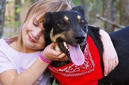 Cyganek już dwa lata czeka na dom! Adoptuj! łagodn