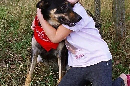 Cyganek już dwa lata czeka na dom! Adoptuj! łagodn