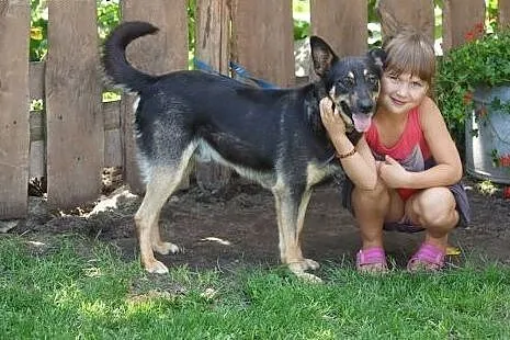Cyganek już dwa lata czeka na dom! Adoptuj! łagodn