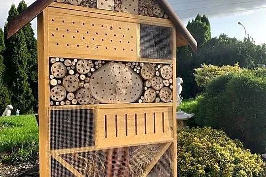 Hotel Domek Dom Dla owadów insektownik karmnik, Pomorskie, Tczew