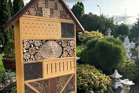 Hotel Domek Dom Dla owadów insektownik karmnik, Pomorskie, Tczew