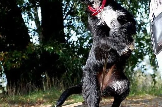 NEGRA - wyjątkowa, do Twojego domu wprowadzić się 