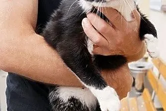 Opuszczona Tosia