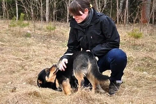 Mały, ciekawy Hunter :),  warmińsko-mazurskie Olsz