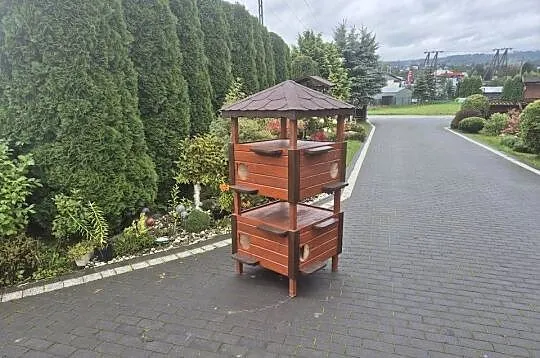 Buda dla kotów