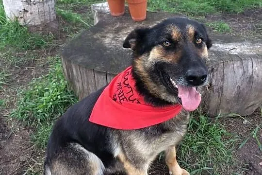 Beti, młoda (ONka) szuka domu!