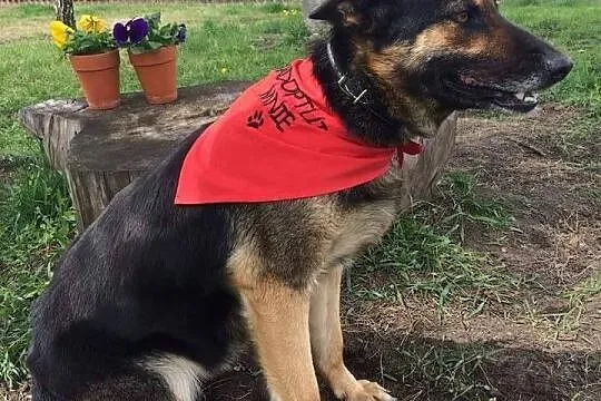 Beti, młoda (ONka) szuka domu!