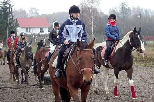 HUBERTUS 09.11.2013 ! Zapraszamy na biesiadę!
