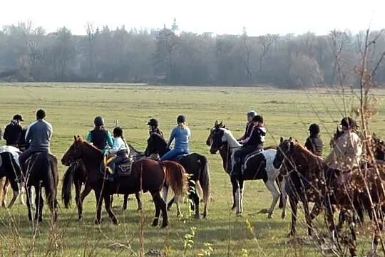HUBERTUS 09.11.2013 ! Zapraszamy na biesiadę!