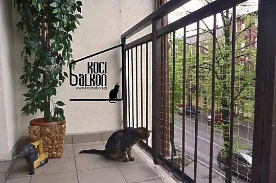 Montaż siatki na balkonie dla KOTA kocia siatka na balkon okno