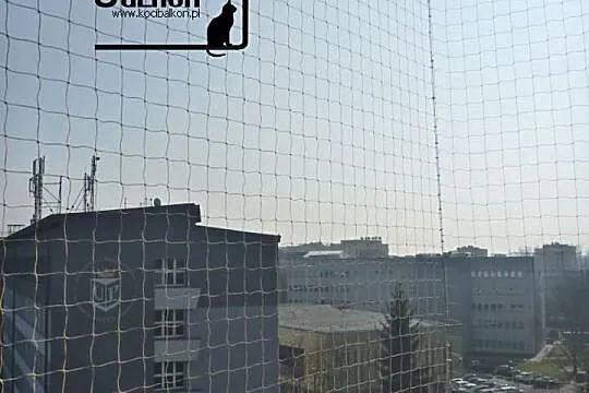 Montaż siatki na balkonie dla KOTA kocia siatka na