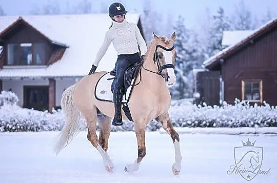 Stanówka kucem grupy D, Czerwonak