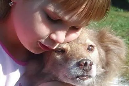 Mały blokowy piesek Bursztynek ADOPCJA ŁTOnZ