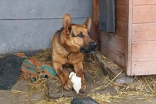 Plastuś wiele przeszedł teraz szuka dobrego i odpo