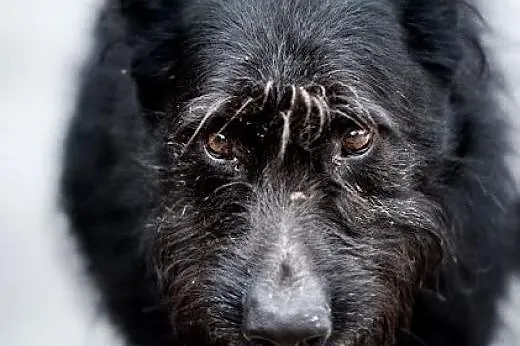 KAJ - wpatrzony w człowieka - czy to na Ciebie cze