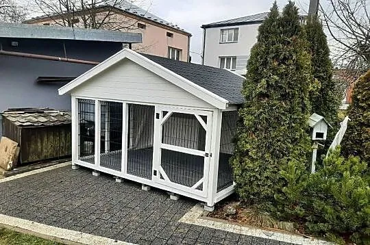 Kojec dla psa z budą, Małopolskie, Jordanów