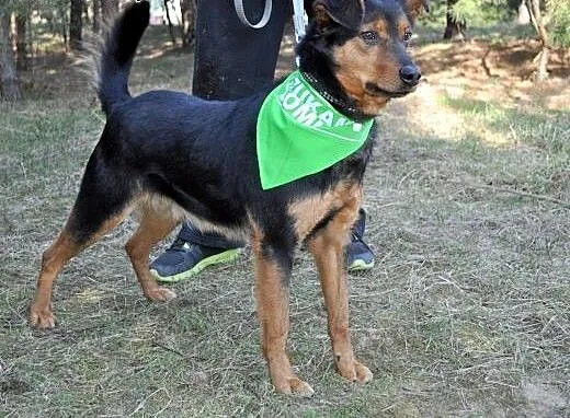 Taki jestem sobie Frodo, mazowieckie Radom