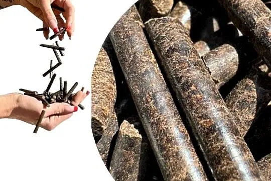Żwirek ekologiczny dla kota 15kg pellet bio eco wyściółka kotów kot, Śląskie, Zrębice