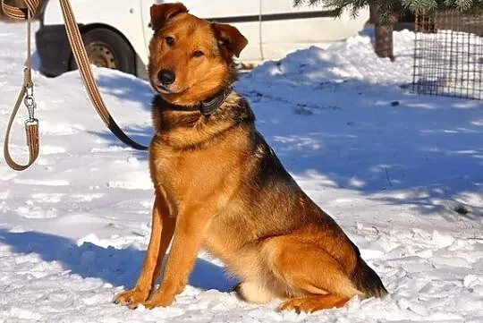Twój przyjaciel Budi :)