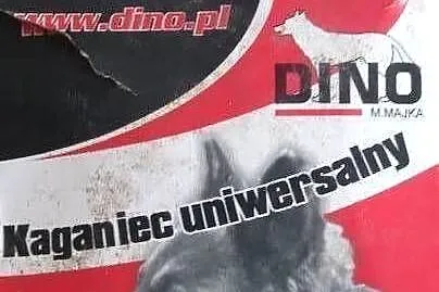 Kaganiec dla pieska:), Wielkopolskie, Koło