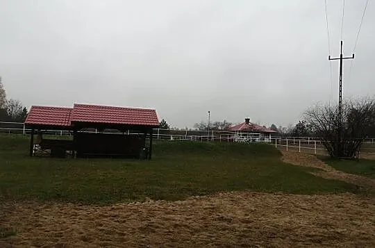 KLACZ do dzierżawy / półdzierżawy, , Borkowo