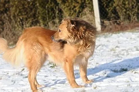Czy to jutro, czy to dziś- radość da Ci Teddy miś,