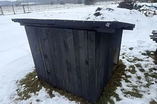 Buda dla psa duża