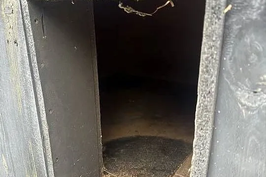 Buda dla psa duża, Lubuskie, Gorzów Wielkopolski