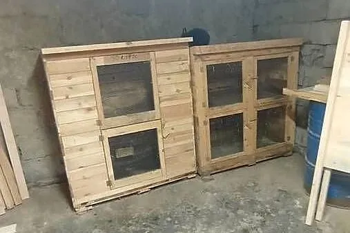 Klatki dla królików