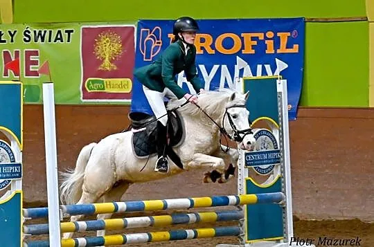 Oddam współdzierżawe kuca do Sportu, , Książ