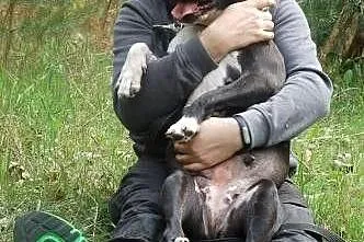 Hera to sama łagodność. A gdy kogoś dobrze zna to 