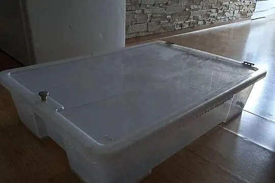 Pudełko box hodowlany terrarium