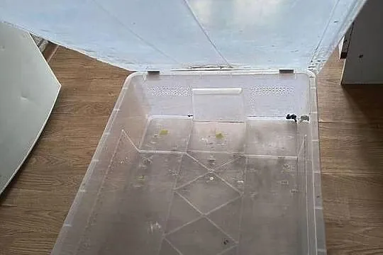 Pudełko box hodowlany terrarium, Śląskie, Bielsko-Biała